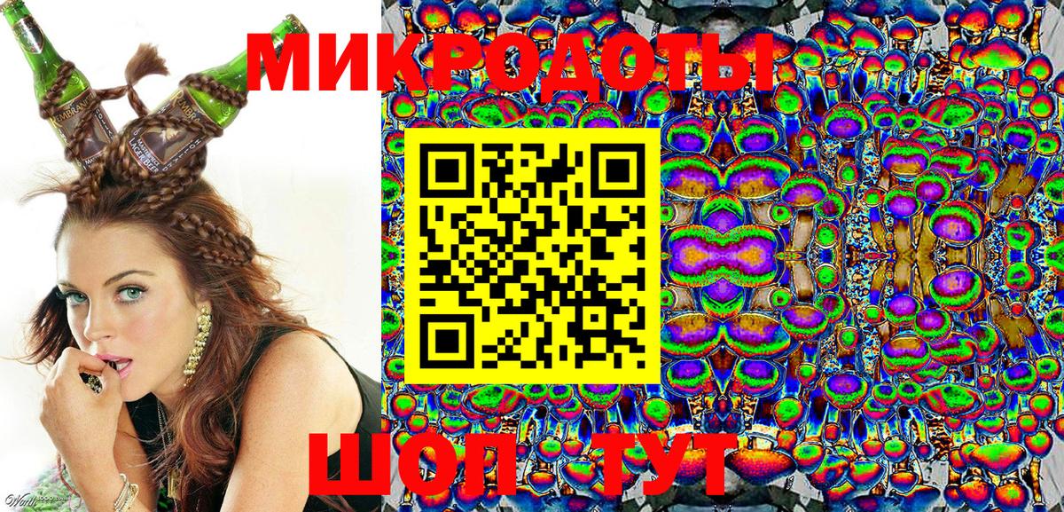 Псилоцибиновые грибы Psilocybine cubensis Лосино-Петровский