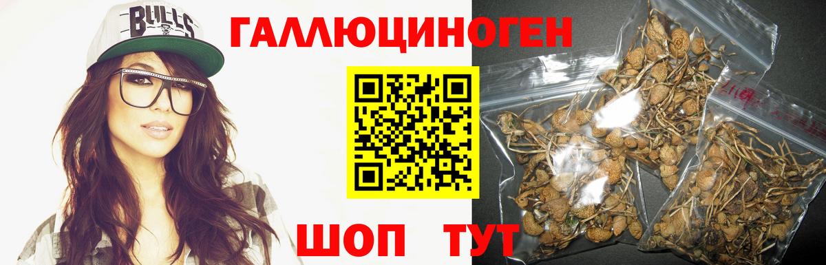 Галлюциногенные грибы Psilocybe  Галлюциногенные грибы Psilocybine cubensis  Лосино-Петровский  Вход с VPN 